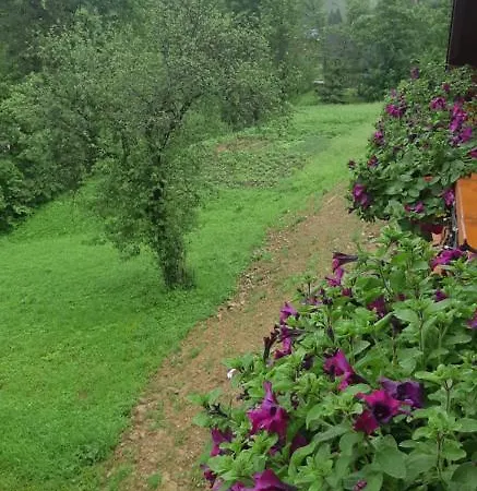 Villa Grace Oryavchyk